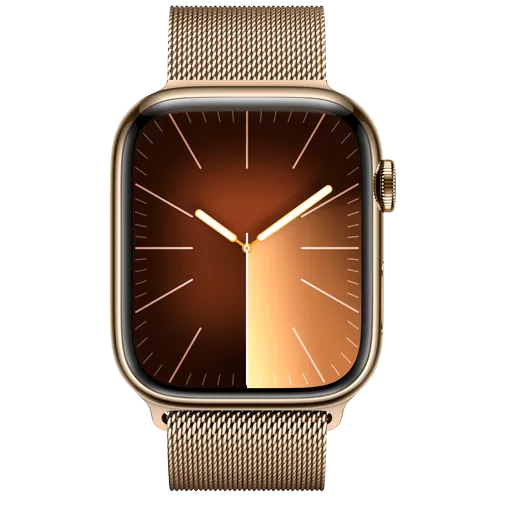 Apple Watch Series 9 Stainless Steel