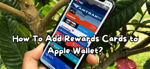 How to Add a Rewards Card to Apple Wallet in a Few Taps