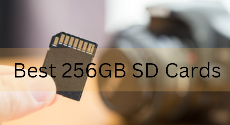 Best 256GB SD Cards