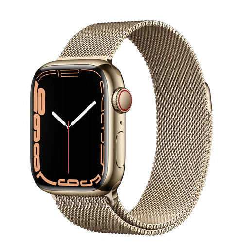 Apple Watch Series 7 41mm Stainless