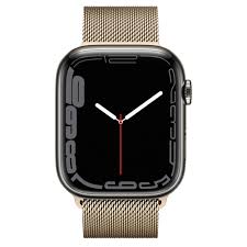 Apple Watch Series 7 45mm Stainless