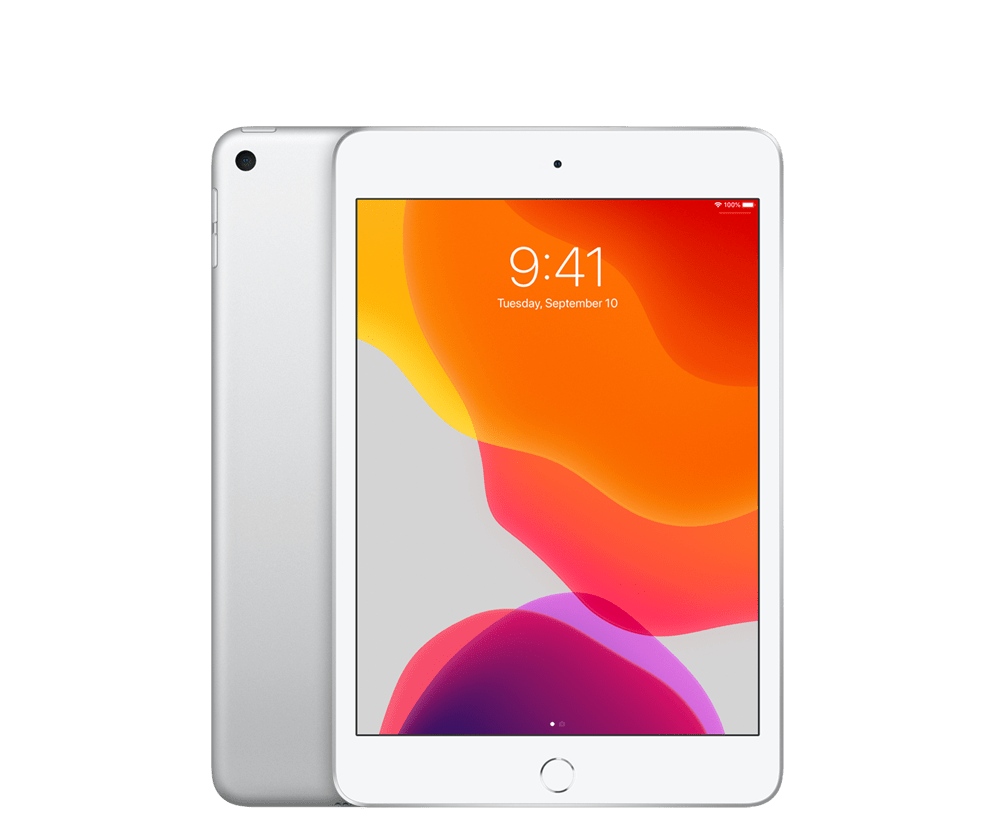 iPad Mini Wifi + Cellular (2019, Gen 5) 256GB